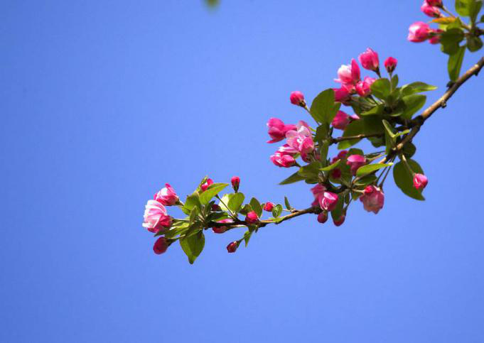 貴陽(yáng)別墅花園設(shè)計(jì)